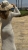 IMG_1908.jpeg