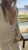 IMG_1901.jpeg
