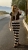 IMG_3764.jpeg