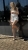 IMG_6594.jpeg